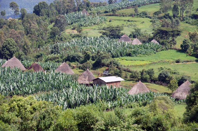 Straw huts and plantations of Deber Tabor, 2012