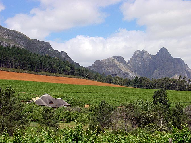 The landscape around Stellenbosch, the Cape Winelands 2000