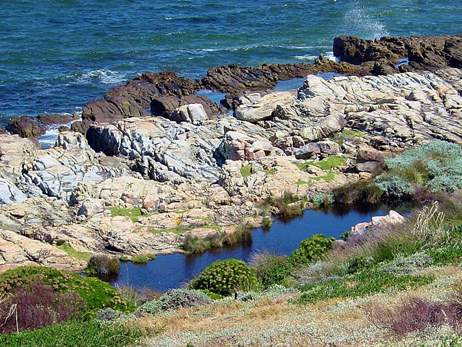 A blue pond by the sea, in the Cape of Good Hope, 2000