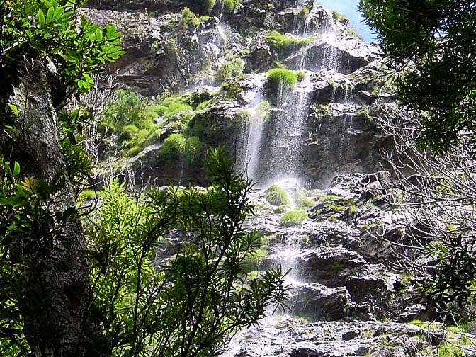 Waterfall in Jonkershoek Nature Reserve, the Cape Winelands 2000