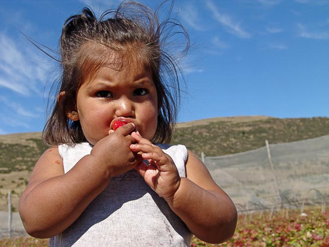 An Aucapan (Mapuche) Indian girl in Alumine, the Neuquen province 2004