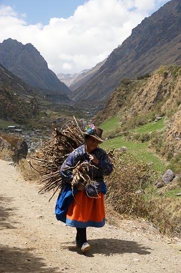 A local woman with a wide-hipped peasant skirt and flower-strewn hat, carrying firewood on her back, Huayllapa 2008