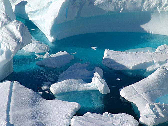 גושי קרח צפים ליד האי בוס, 2004