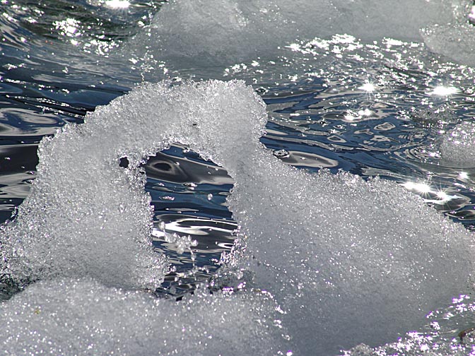 גושי קרח צפים ליד חופי איי מלכיאור, 2004