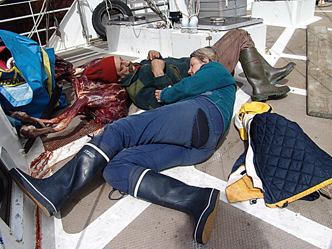 קטי וג'רום מוצאים מנוחה על איל צפון שניצוד במפרץ האוקיאנוס, 2004
