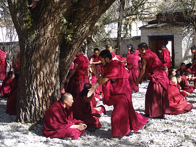 נזירים משננים את לימודי הקודש, בשיטה של שאלות עם סימנים מוסכמים ותשובות, במנזר שרה שבלהסה, 2004
