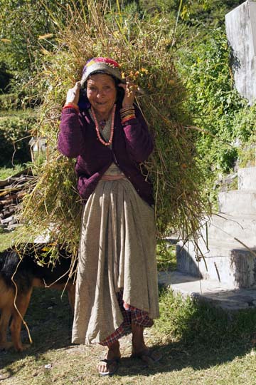 A peasant carrying a load of feed for her livestock, Pangu 2011