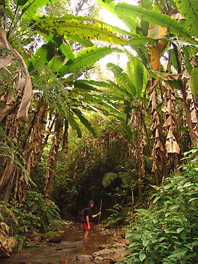 Yoav in the jungle trek, Muang Ngoi 2007