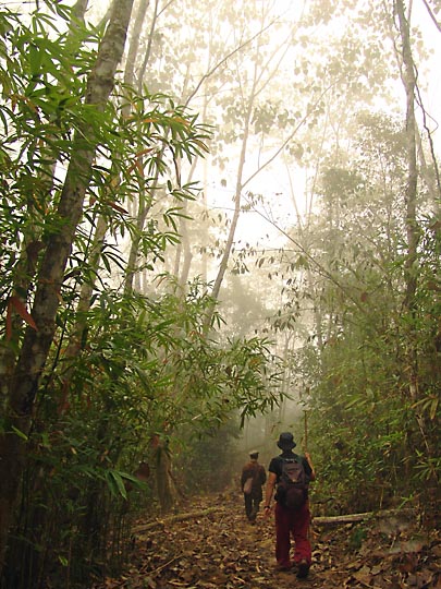 Trekking down from Ban Gewkhan village, Muang Ngoi 2007