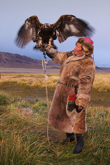 Mongolian-Kazakh hunter (Bashakhan) with Golden Eagle (Aquila chrysaetos), 2014