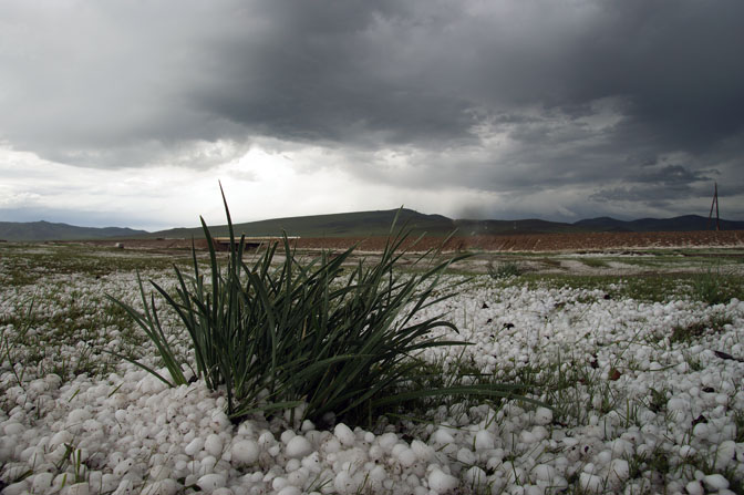 Large spheric hailstones close to Terkhiin Tsagaan Nuur, Central Mongolia 2010