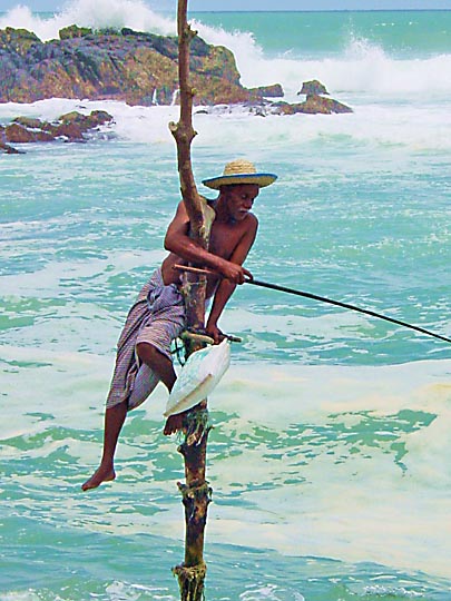 A stilt fisherman in the south coast, 2002
