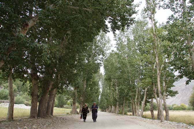 Avenue of poplars  in the main road crossing Langar, The Wakhan Corridor 2013