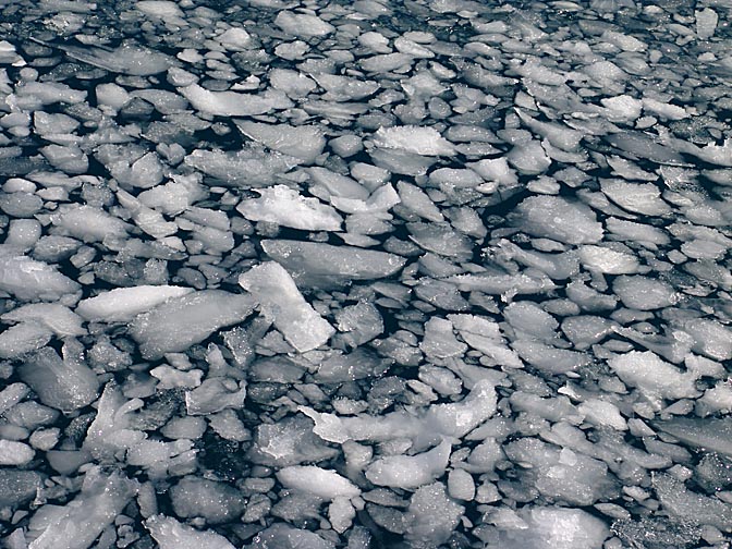 שברי קרחונים צפים, ליד מפרץ ביסקוצ'יה, חצי האי אנטארקטיקה 2004