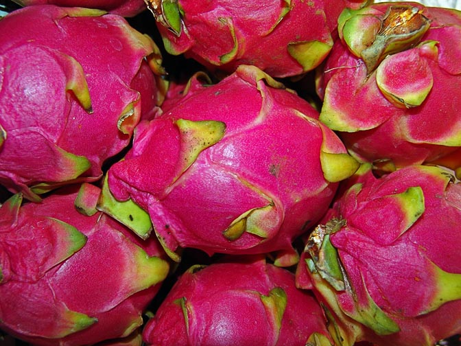 Red Pitayas (Hylocereus undatus, Dragon Fruit) on the way to Chiang Mai, Thailand 2007