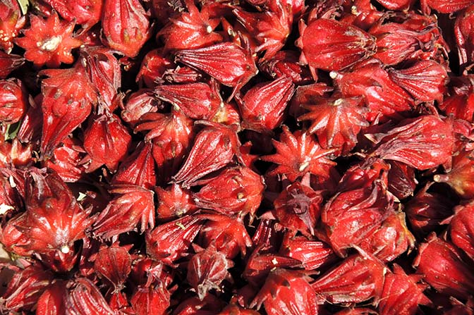 Dark red calyces of Roselle (Hibiscus sabdariffa) in Pindaya market, Myanmar 2015