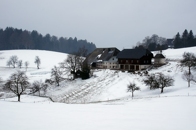 A farm in snow, The Black Forest 2013