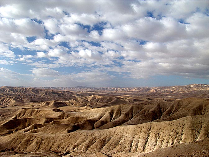 הנוף הרך של צפון מדבר יהודה, 2006