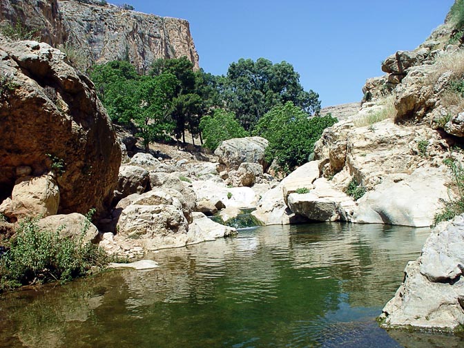 The rivulet near Prat Spring in the Prat Creek (Wadi Kelt), the northern borderline of the Judean Desert, 2003