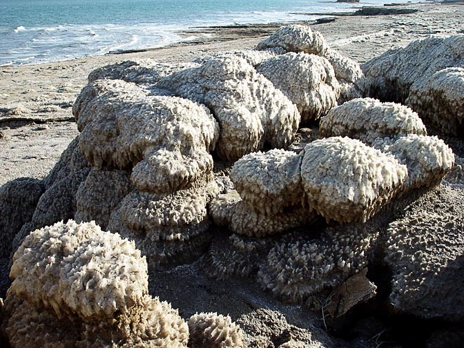 גבישי מלח על גבי סלעים בחוף עין גדי, 2003