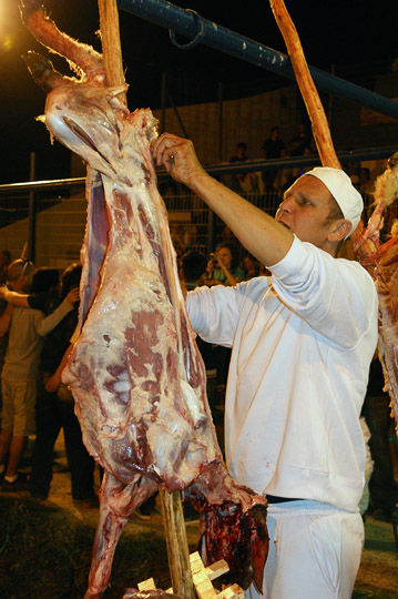 Samaritan skins a sacrificed lamb impaled on a big wooden spit, Mount Gerizim 2011
