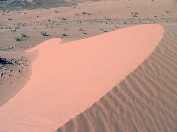 An impressive dune at Wadi er Raqiya, 2006