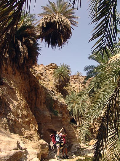 Aviv and Tamar admire the palms decorating the ravines of Wadi Manshala, 2007