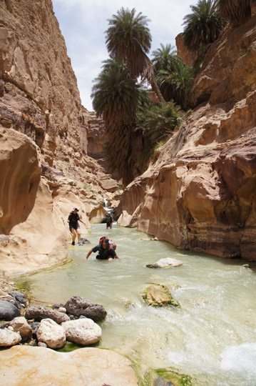 Oved wades in the warm water of Wadi Zarqa Main,2012