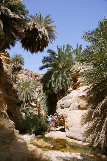 The guys admire the full grown palmtrees decorating the walls of Wadi Manshala, 2012