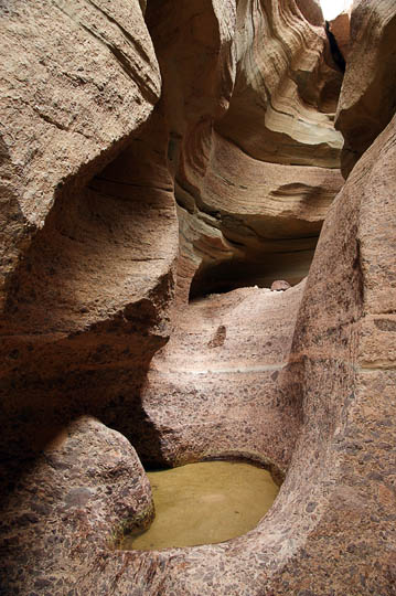 A water pit between the upright walls of Wadi Tajra, 2010