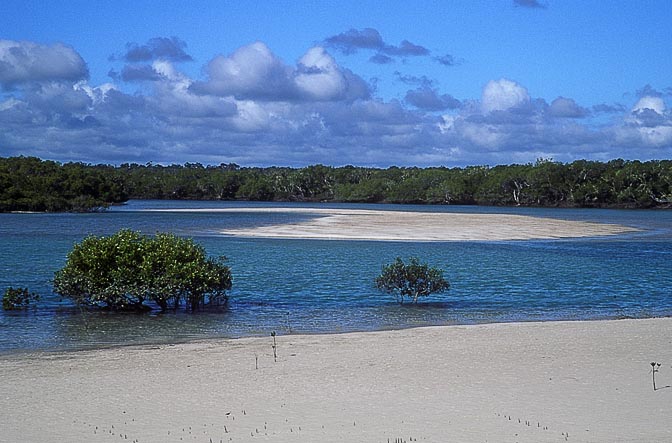 Moon creek inlet on Fraser Island, Queensland 2000