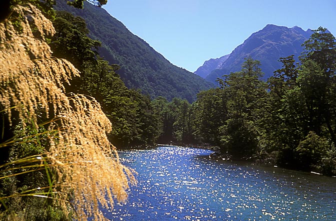 Clinton River, the Milford Track, the South Island 1999