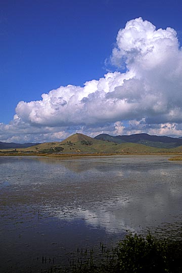 The north coast of the Coromandel Peninsula, the North Island 1999