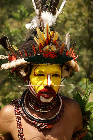 A Huli Tribe wigman decorated for the singsing (cultural show), Tari 2009