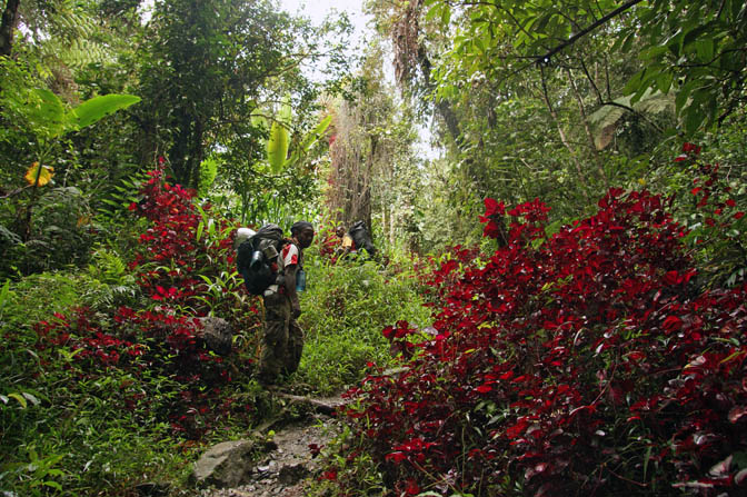 Davidson and Rommy in the colorful bush, The Kokoda Trek 2009