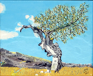 An Atlantic Pistachio (Pistacia atlantica) in Judean Desert, 2015