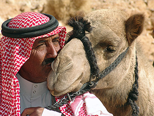 The kiss  to a large gallery picture