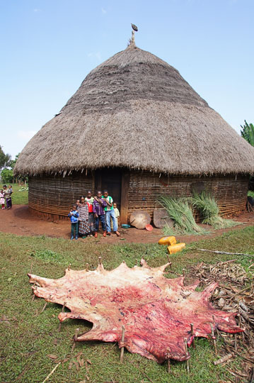 Drying the hide of a bull which was slaughtered for the Meskel celebration at Deber Tabor, 2012