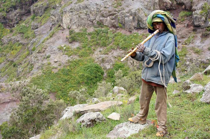 Shepherd plays a cane flute, Simien Mountains National Park 2012