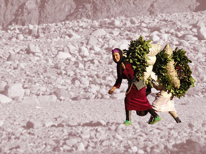 Berber girls carrying green twigs across the Setti Fatma valley, 2007