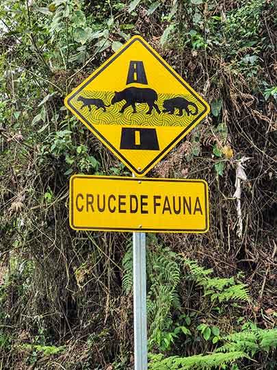 Wildlife crossing sign in Arenal Volcano National Park, 2022