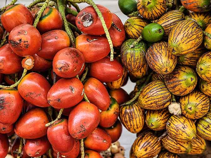 Pejibaye aka Peach Palm Fruit for sale in Puntarenas province, 2022