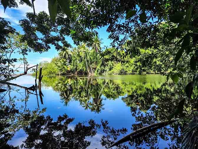 Osa Peninsula's tropical rainforest near Poor Man's Paradise Lodge, 2022