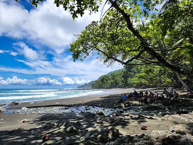 Walking from La Sirena to Carate, Corcovado National Park 2022