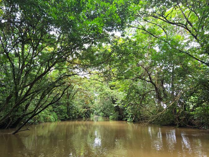 Sailing toward the Caribbean coast, Madre de Dios Lagoon 2026