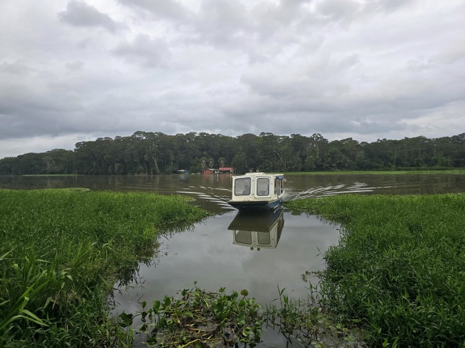 The taxi boat on Madre de Dios Lagoon coming to pick us up for Lirio Lodge, Caribbean coast 2026