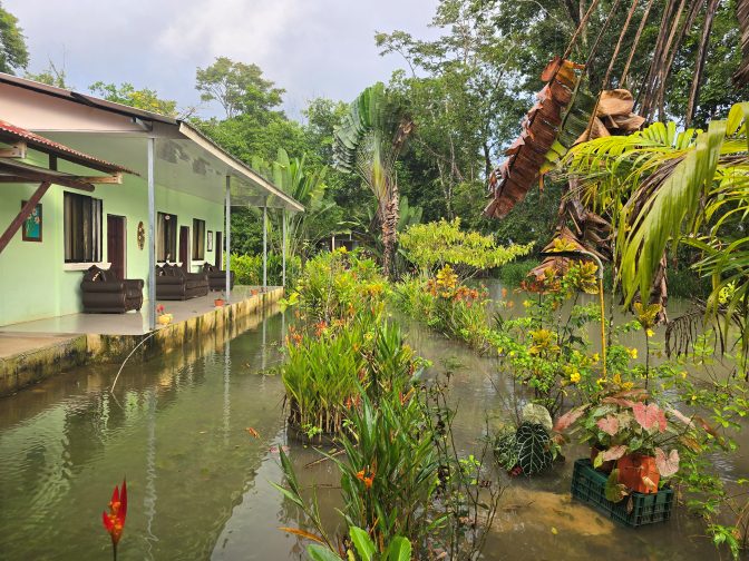 The cabins at the flooded Lirio Lodge, Caribbean coast 2026