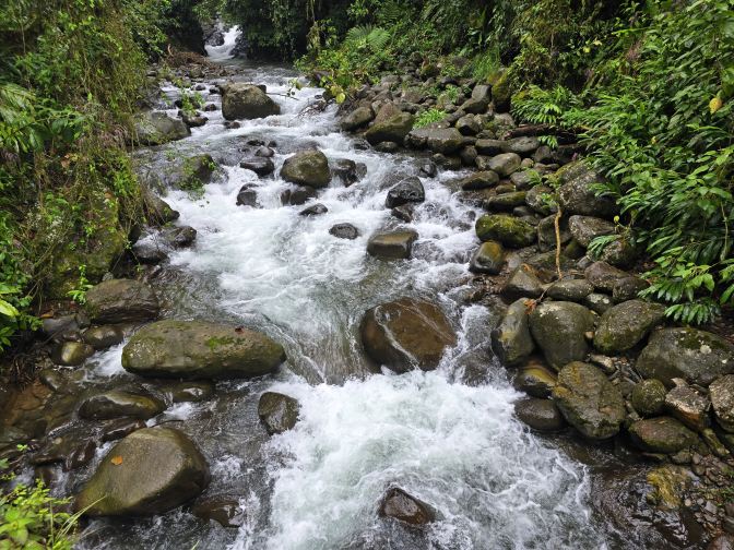 The Purisil River, 2026