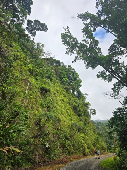 Bruna and Irit at the bottom of a steep hillside covered in dense vegetation, 2026