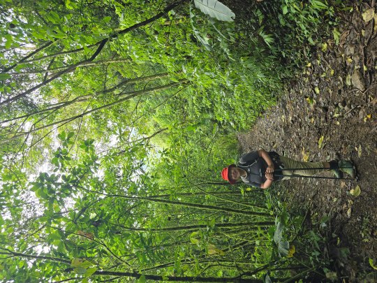 Bruna among towering trees and diverse plant life, 2026